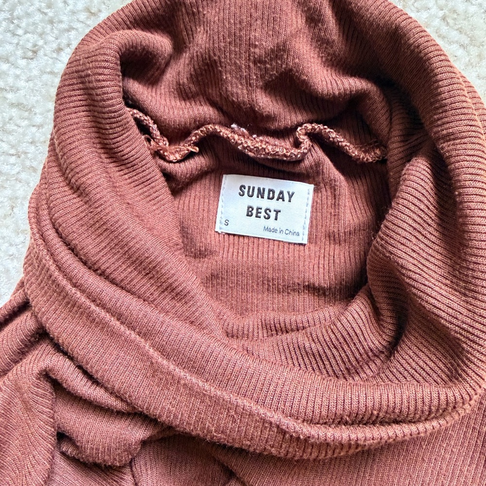 Aritzia Sunday Best Turtleneck in Chocolate size S